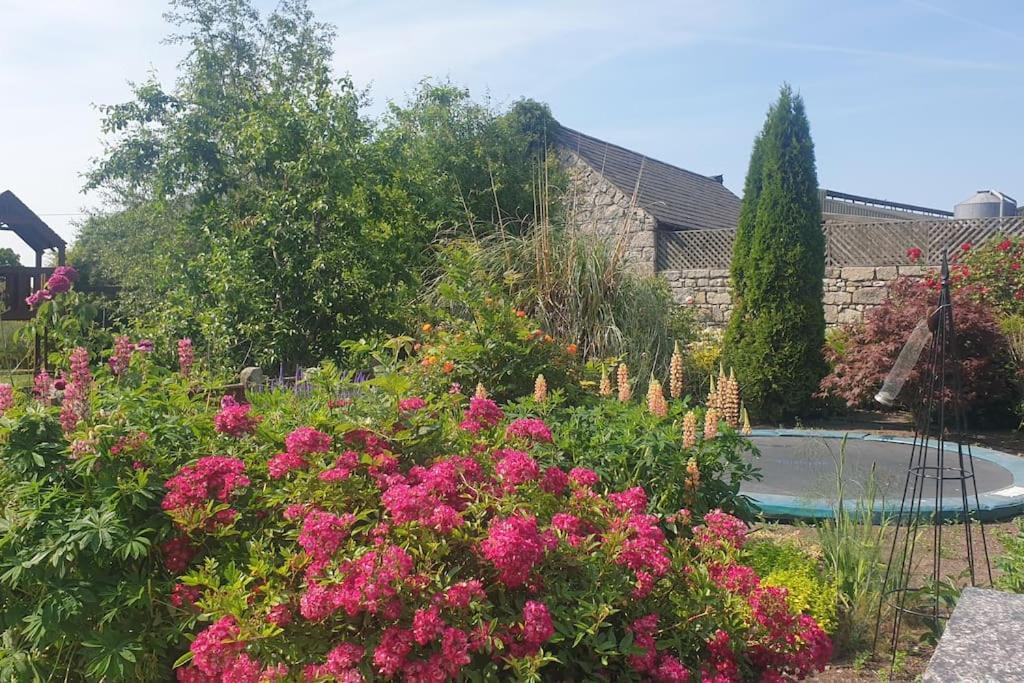 Grove Cottage At The Lodge Tullow Exteriör bild
