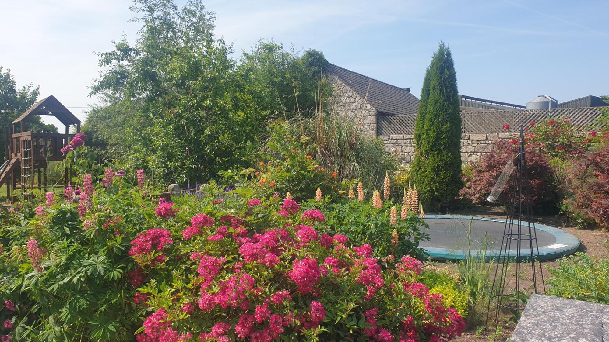 Grove Cottage At The Lodge Tullow Exteriör bild